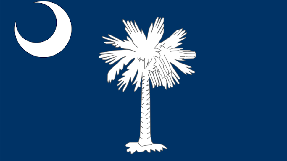 Image result for sc flag